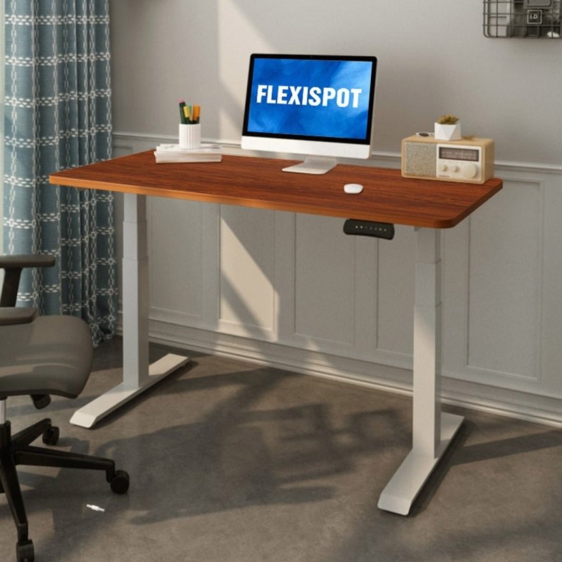 Flexispot EC4 Dual Motor Electric Height Adjustable Standing Desk