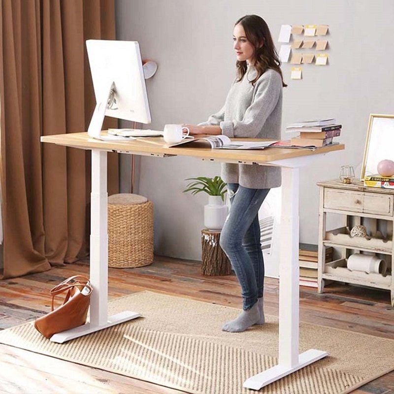 Flexispot EC4 Dual Motor Electric Height Adjustable Standing Desk