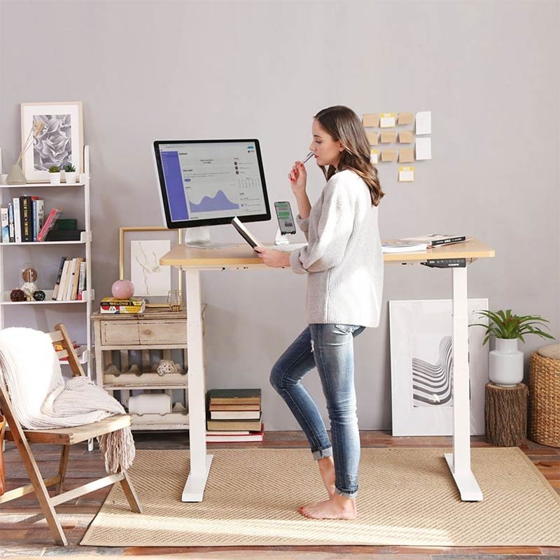 Flexispot EC4 Dual Motor Electric Height Adjustable Standing Desk