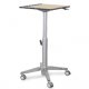 Ergotron 24-811-F13 Sit-Stand Mobile Desk