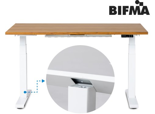 FlexiSpot Home Office Electric Height Adjustable Desk 48x30 Computer Desk  Ergonomic Standing Desk Computer Table White Desktop and White Frame 
