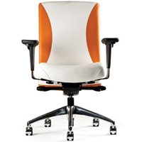 Neutral Posture Balance Executive, Conference and Task Chair