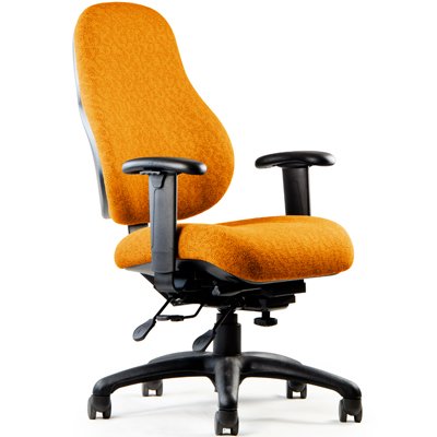 https://www.ergodirect.com/images/Neutral_Posture_Chairs/17312/alternative/Neutral_Posture_ESeries_Task_Chair_2.jpg