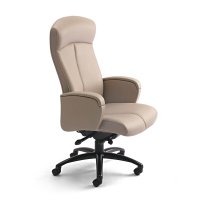 Sitmatic Posh High back Task Chair - 419